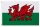 XXL Flagge Wales 250 x 150 cm