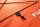 Aqua Marina All-Around SUP Board 330x81cm Reißverschlussrucksack Double Action-Pumpe LIQUID AIR Paddel Einschub-Mittelfinne Sicherheitsleine Orange