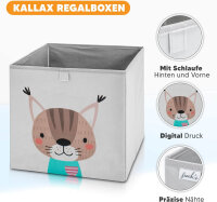 fenchi’s AUSTRIA Aufbewahrungsboxen 2er Set –...