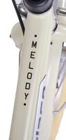 Komfortables Fahrrad mit schöner Klingel