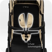 5-Punkt Sicherheitsgurt in einem Kinderwagen mit gepolstertem Sitzbereich