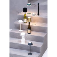 JENS Living LED Tischleuchte Metall – Akku-Tischlampe dimmbar, USB-C aufladbar, 3 Lichtmodi (Warm/Weiß), kabellose Nachttischlampe, 28,5cm