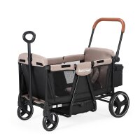 Bollerwagen in gewählter Farbe sichtbar
