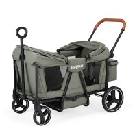 BabyTrold Adventure Bollerwagen für Kinder 2-Sitzer faltbar mit XXL-Verdeck