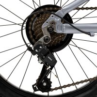 Nahaufnahme eines Fahrrad-Hinterrads mit Schaltwerk und Kette