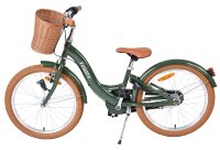 Dunkelgrünes Fahrrad mit Korb, braunem Sattel und breiten Reifen