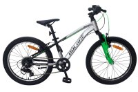 Kinderfahrrad mit 20-Zoll-Rädern in Silber und...