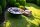 Markone Rost 753 (zum Ring 100 cm): 0